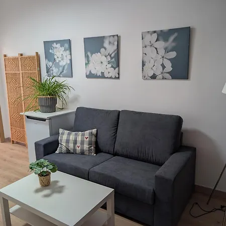 Base Ebi3369 Apartamento